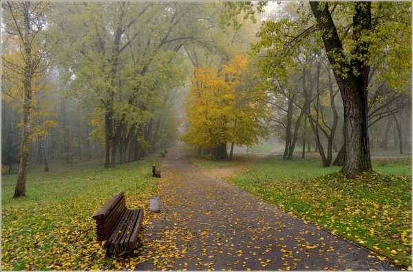Осенний парк