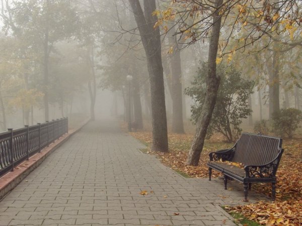 Осенний дождливый парк