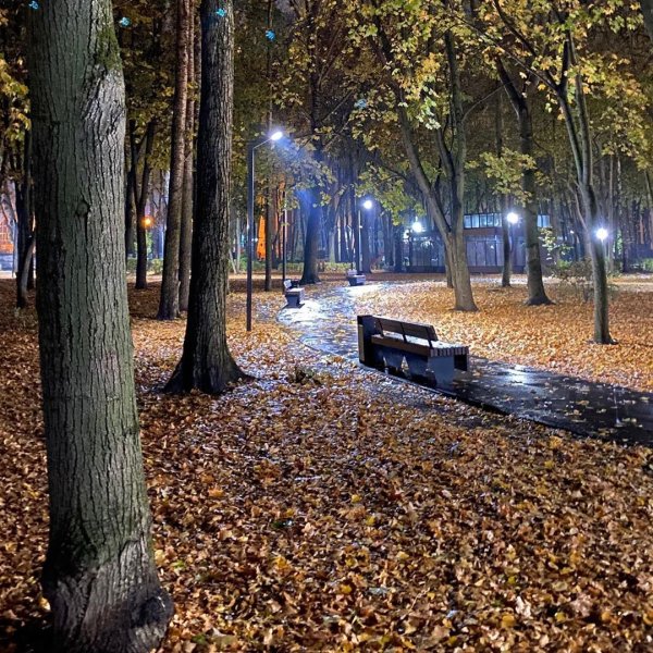 ПКИО осенний РНД