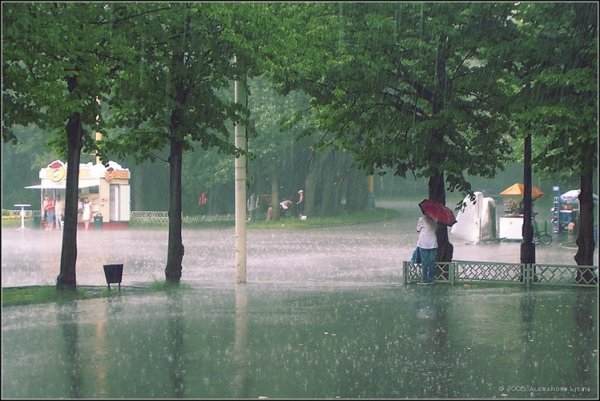 Летний дождь в парке