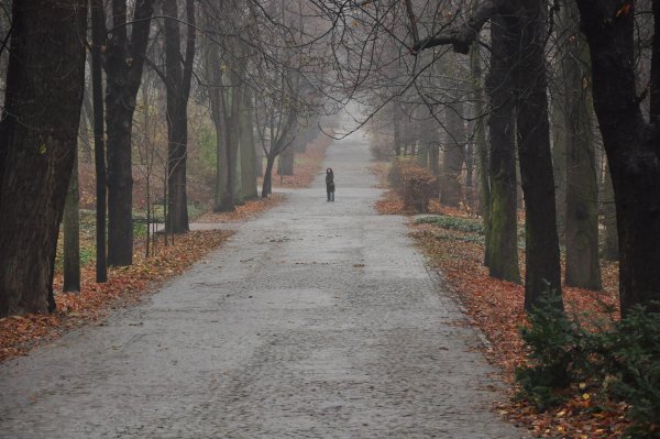 Поздняя осень в парке