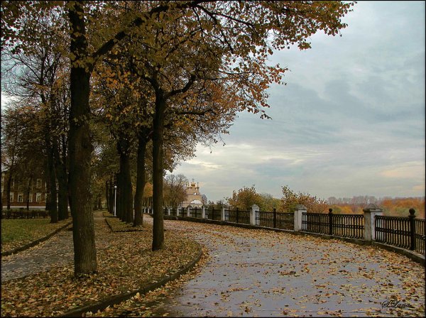 Парк Саратов поздняя осень