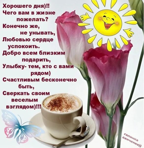 Пожелания доброго утра и хорошего дня