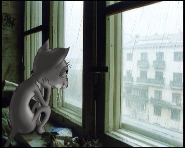 Человек и кошка у окошка
