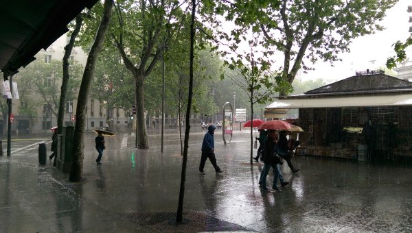 Дождливый день