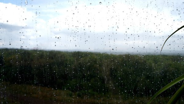 Дождь атмосферное явление