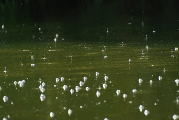 Слепой дождь