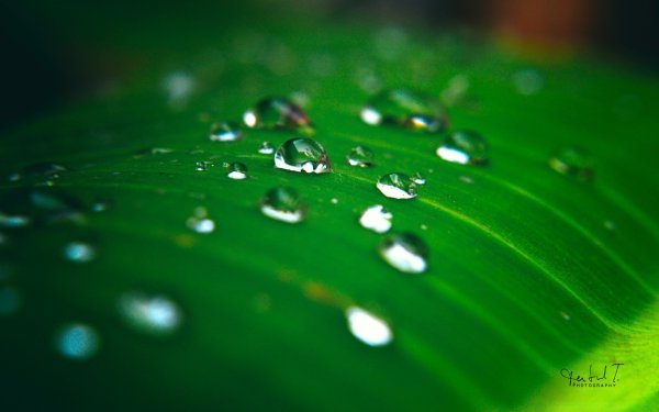 Обои на рабочий стол капли воды