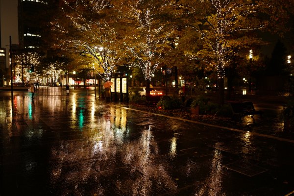 Ночной осенний город