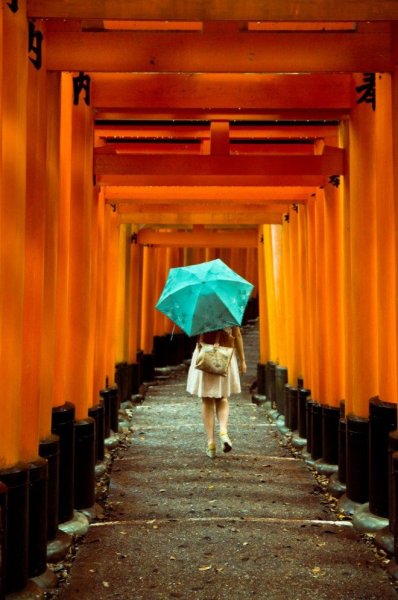 Оранжевый дождь