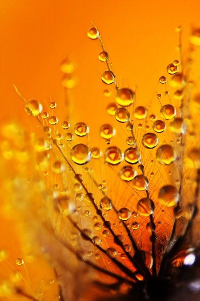 Вдохновение цветом оранжевый