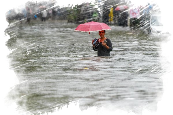 Муссонные дожди в Индии 2021 видео-