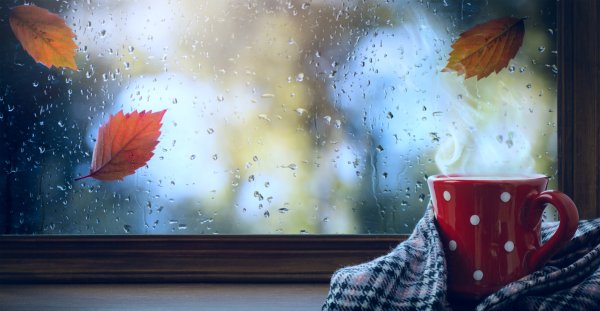 Осень мокрое окно кофе