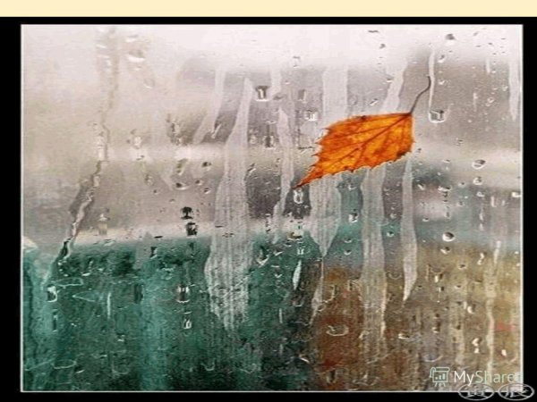 Капли дождя на окне живопись