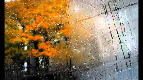 Осень дождь окно
