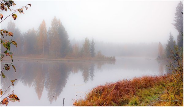 Осень река туман