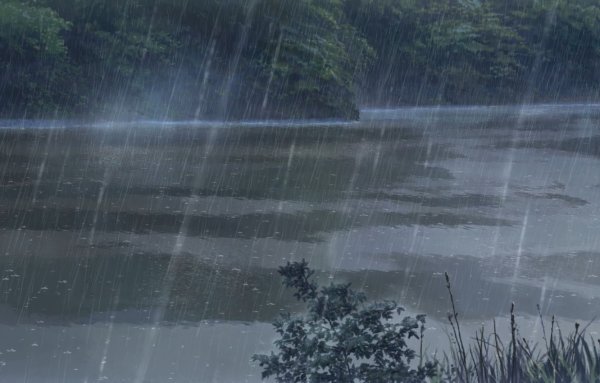 Дождь над озером