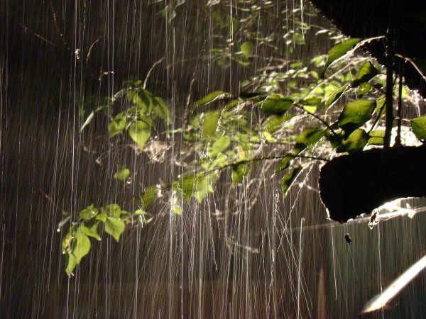 Природа дождь