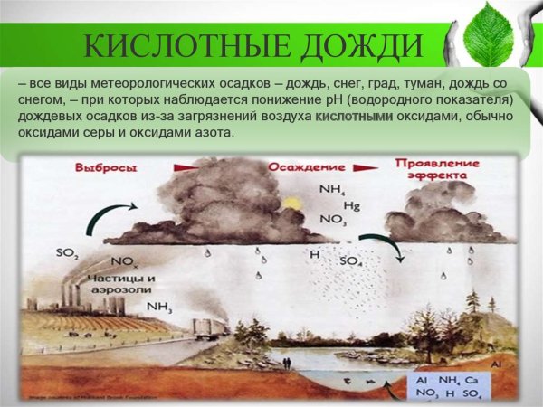Источники кислотных дождей загрязнения атмосферы