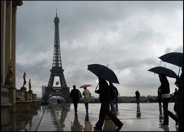 Парижский зонтик