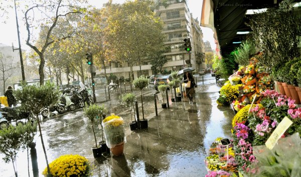 Летний дождь в Париже