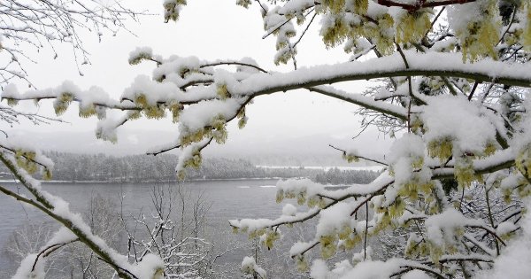 Снегопад весной