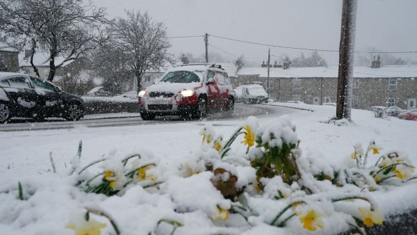 Внезапный снег в апреле