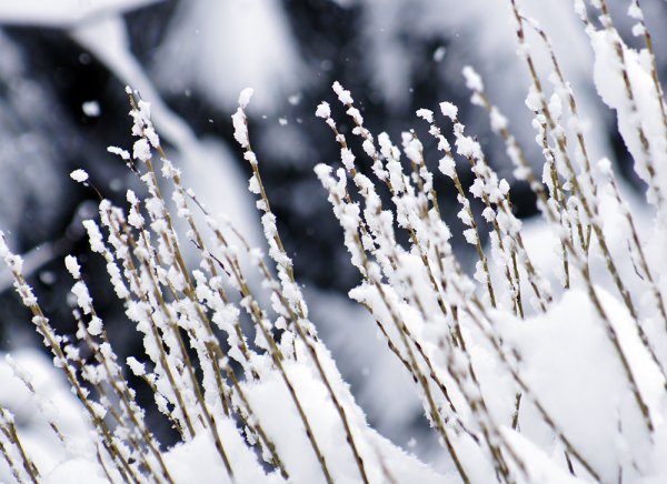 Зима в апреле