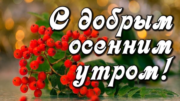 Доброе осеннее утро сентября с рябиной и пожеланиями