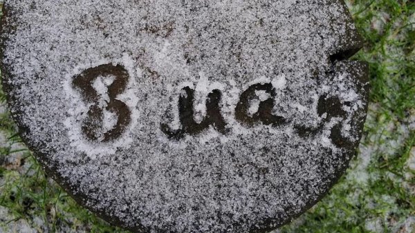 Снег в мае смешные картинки