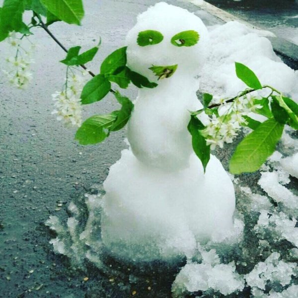 Снеговик весной