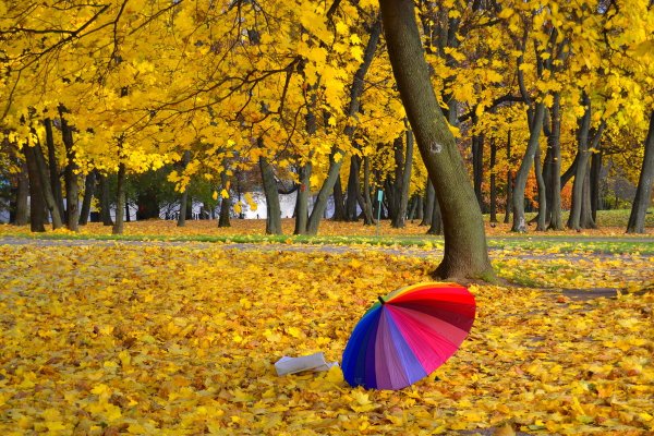 Яркая осень