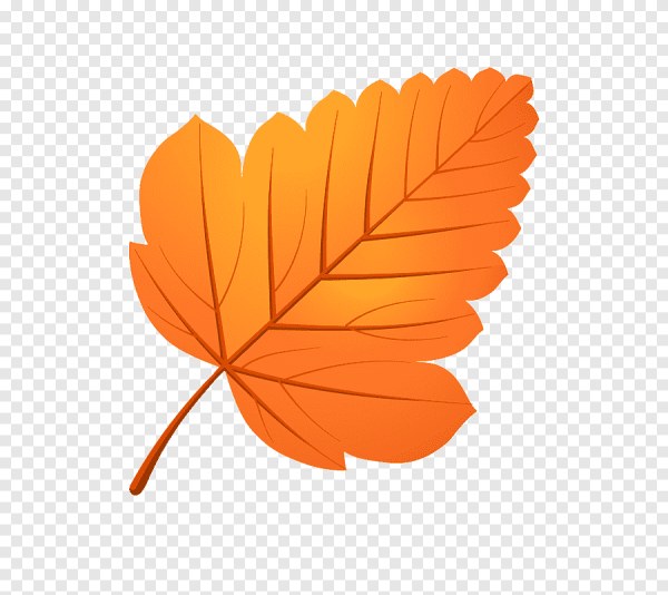 Осенний листок