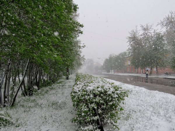 Снег в мае