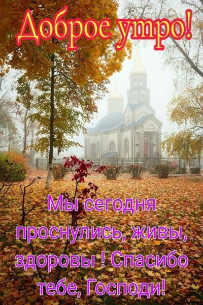 Доброе утро благословенного дея
