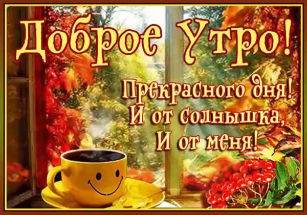 Доброе осеннее утро друзья
