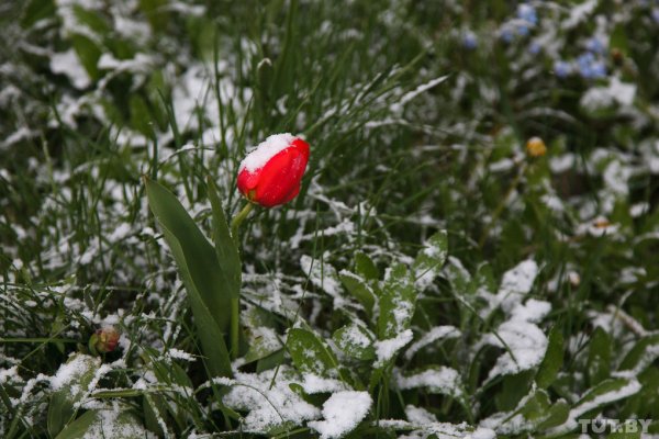 Снегопад летом
