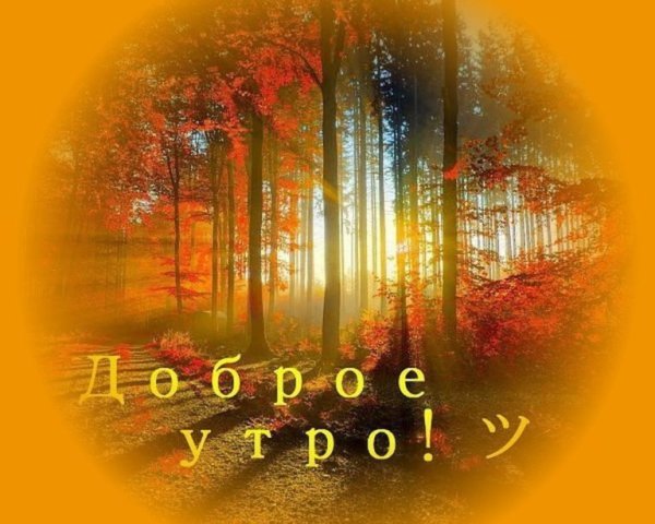 Доброе солнечное осеннее утро