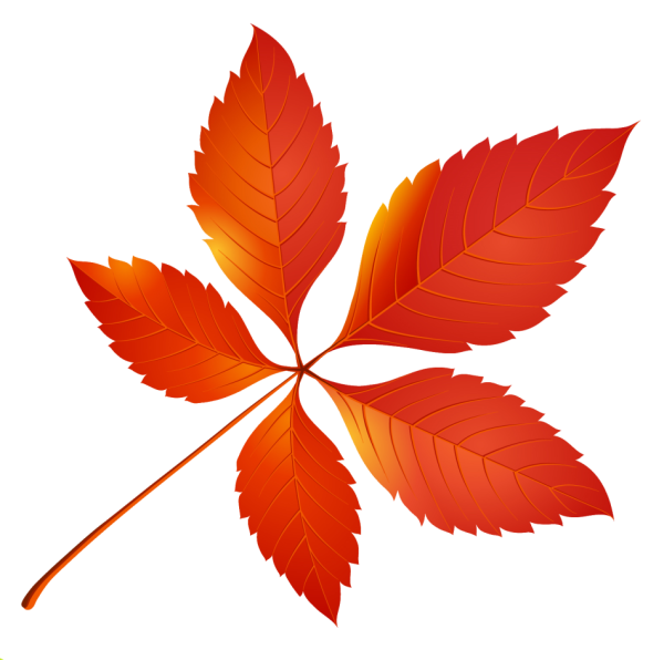 Осенние листья