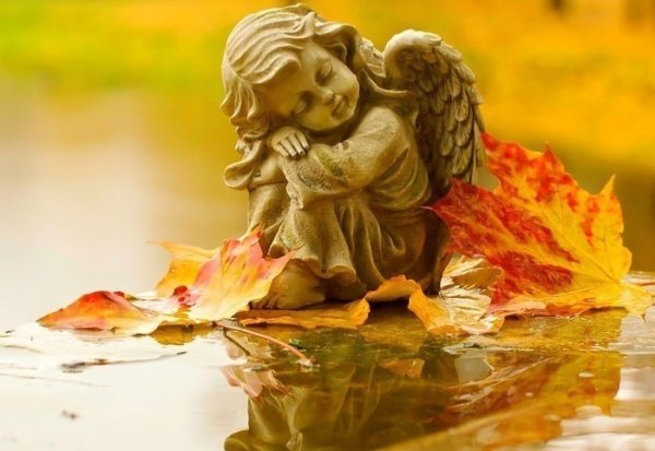 Ангелочек осень