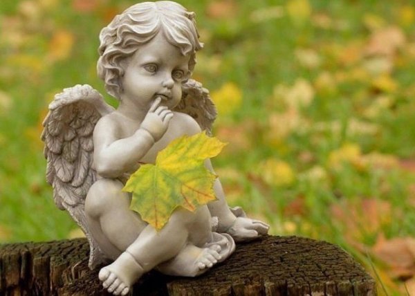 Ангелочки осень