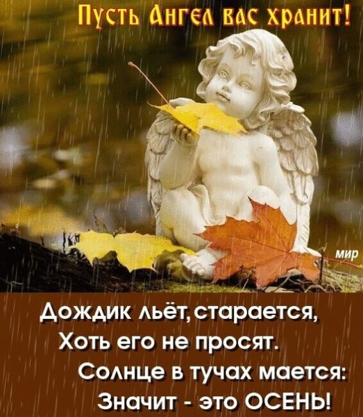 Осенний ангел прячется в дождях в листве янтарной в переливах