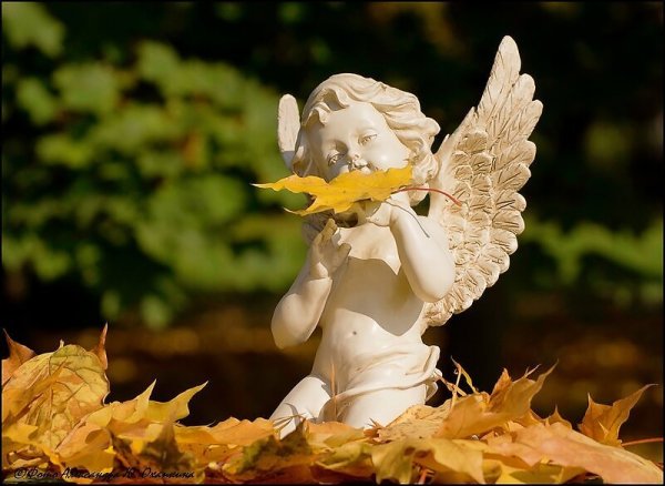 Ангелочек осень