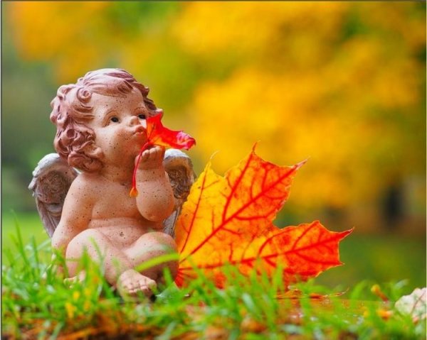 Ангелочек осенью