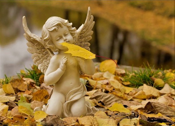 Осень с ангелочками