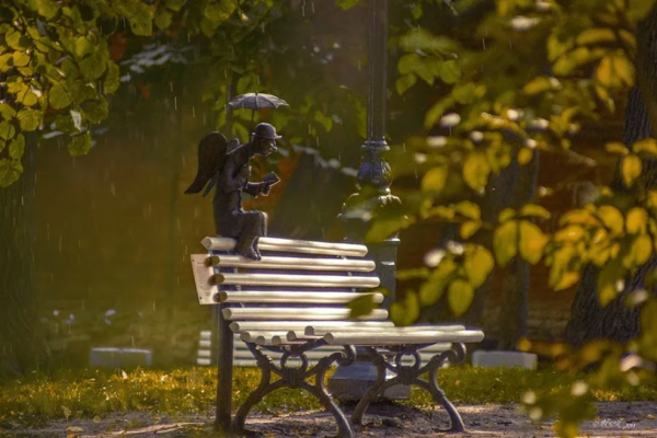 Одинокая скамейка в парке