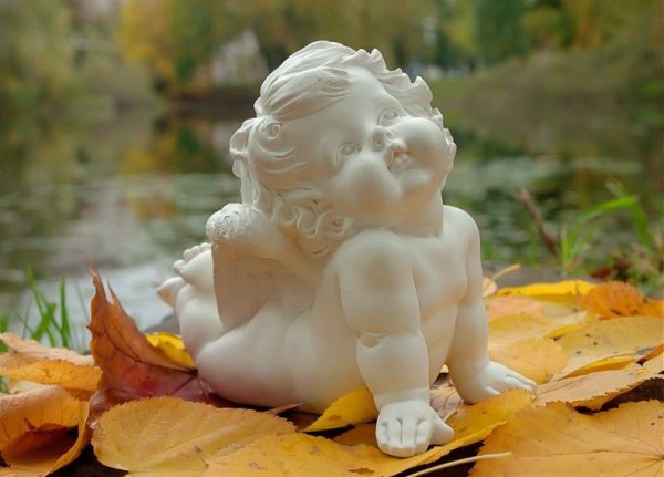 Ангелочки осень