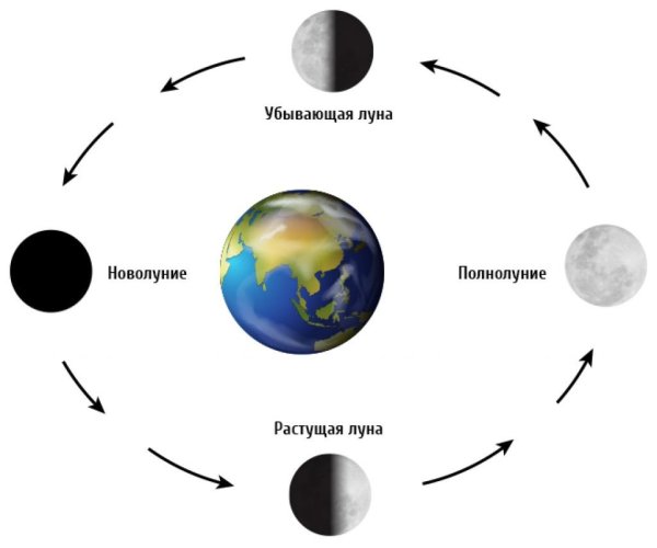 4 Основных фазы Луны