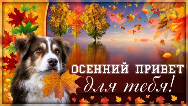 Теплый осенний привет