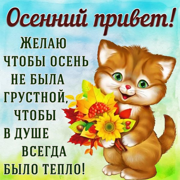 Осенний привет